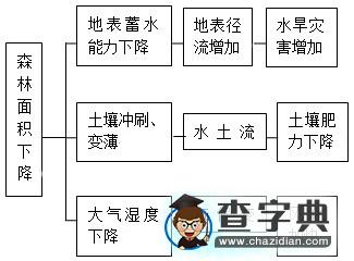 以點(diǎn)畫線以線拉網(wǎng)，縱橫交織強(qiáng)化聯(lián)系12