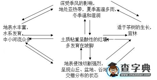 以點(diǎn)畫線以線拉網(wǎng)，縱橫交織強(qiáng)化聯(lián)系6