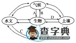 以點(diǎn)畫線以線拉網(wǎng)，縱橫交織強(qiáng)化聯(lián)系2