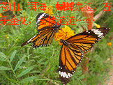 原創(chuàng)的地理歌謠，能唱的地理歌謠12