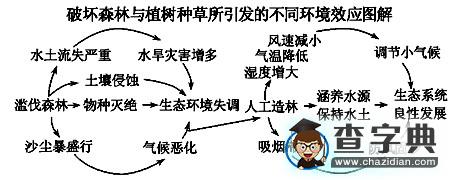 以點(diǎn)畫線以線拉網(wǎng)，縱橫交織強(qiáng)化聯(lián)系5