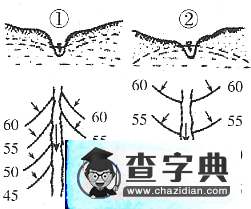 高考第二輪專題輔導：等值線9