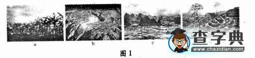 普通高等學(xué)校招生全國統(tǒng)一考試（江蘇卷）地理1