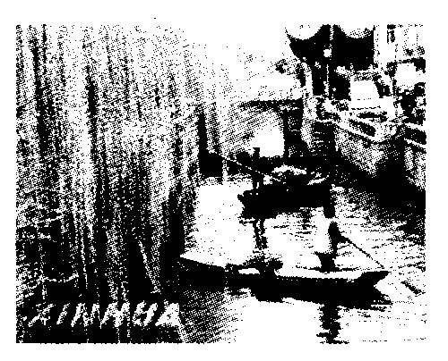 人教版地理新教材八年級(jí)學(xué)習(xí)效果評(píng)價(jià)個(gè)性化試題8
