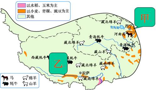 《青藏地區(qū)的自然特征與農(nóng)業(yè)》教學(xué)設(shè)計(jì)1