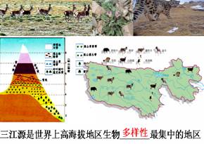 《高原濕地──三江源地區(qū)》教學(xué)設(shè)計(jì)16