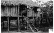 七年級地理 《第五章 第三節(jié) 西北地區(qū)與青藏地區(qū)》學案7