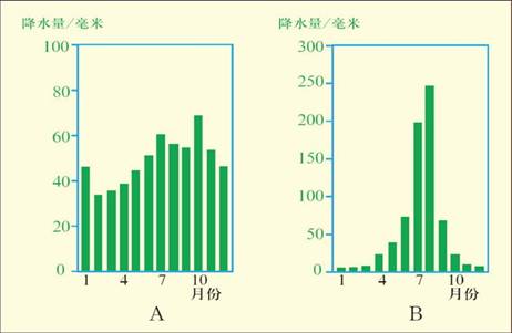 《第三節(jié)降水的變化與分布》教學設(shè)計7