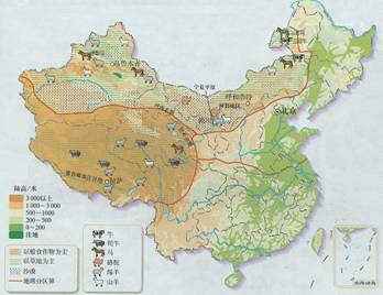 七年級地理 《第五章 第三節(jié) 西北地區(qū)與青藏地區(qū)》學案4