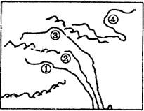 八年級地理《高原濕地──三江源地區(qū)》同步測試1
