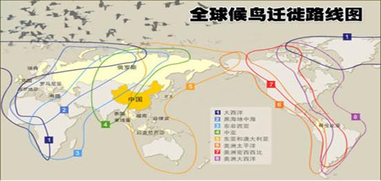 七年級地理試題第一學(xué)期學(xué)業(yè)期末考試5