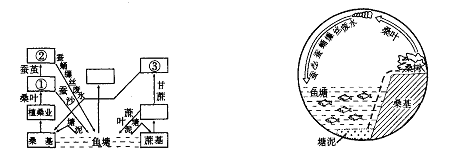 《面向海洋的開放地區(qū)——珠江三角洲》地理專題復(fù)習(xí)5
