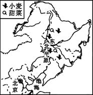 《“白山黑水”──東北三省》八年級地理同步測試4
