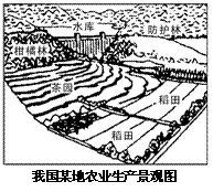 《第二節(jié)農(nóng)業(yè)》測試題3