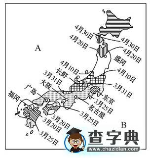 《日本》同步測試7