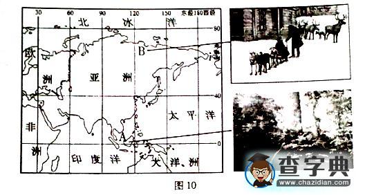 《亞洲的人文環(huán)境》習(xí)題8