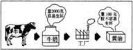 “5.5工業(yè)生產(chǎn)活動(dòng)～5.8傳統(tǒng)工業(yè)區(qū)”限時(shí)訓(xùn)練1