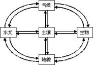 《第一節(jié)自然地理環(huán)境的整體性》地理教學(xué)設(shè)計(jì)11