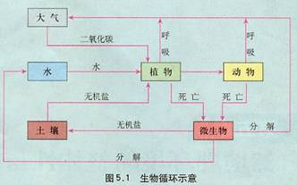 《第一節(jié)自然地理環(huán)境的整體性》地理教學(xué)設(shè)計(jì)6