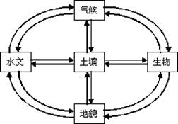 《第一節(jié)自然地理環(huán)境的整體性》地理教學(xué)設(shè)計(jì)8