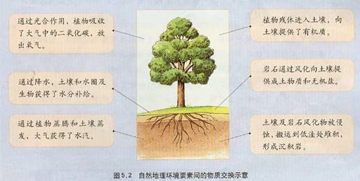 《第一節(jié)自然地理環(huán)境的整體性》地理教學(xué)設(shè)計(jì)7