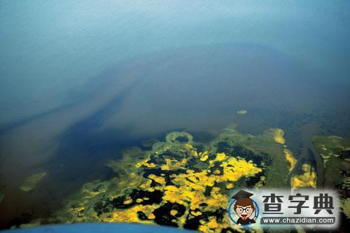 湖貝加爾湖準(zhǔn)確深度測(cè)定為1580米1