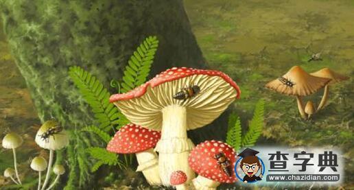 誰在享用蘑菇大餐？1