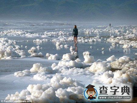 美國加州海岸變成“泡泡浴場”2