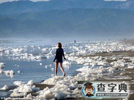 美國加州海岸變成“泡泡浴場”1