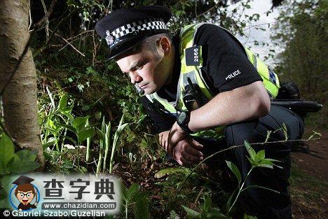 英國最后一株杓蘭將開花1