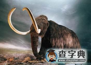 1.3萬年前彗尾碰撞地球?qū)е挛⑿捅訒r(shí)期2
