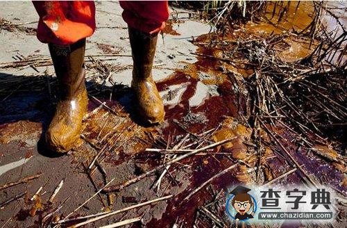 墨西哥灣油污繼續(xù)蔓延3