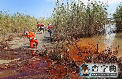 墨西哥灣油污繼續(xù)蔓延1
