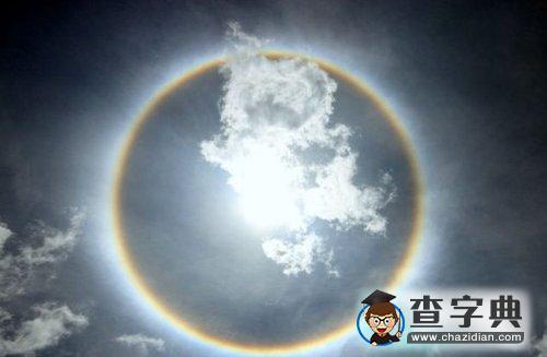 海灘出現(xiàn)罕見“太陽狗”2