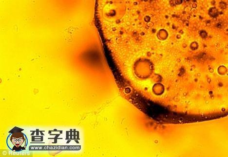 揭開墨西哥灣漏油消失之謎1