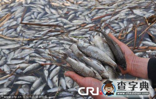 環(huán)境類突發(fā)事件年終回顧：水污染3