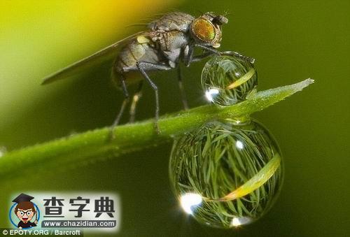 英國環(huán)境攝影大賽揭曉4