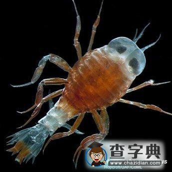 首份海洋生物普查報告發(fā)布1