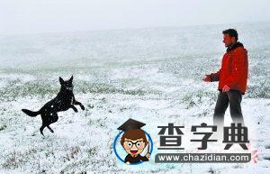 澳大利亞夏日飛雪1