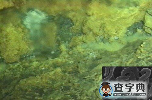 人類首次在地殼最深處發(fā)現(xiàn)生命1