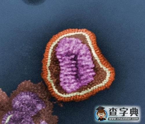 早期生命可能源自外星死亡微生物1