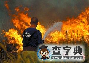 “地球反撲年” 全球奪命26萬5