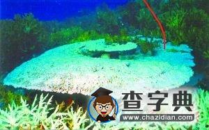 萬年自然奇跡或?qū)⒂谑旰笏劳?
