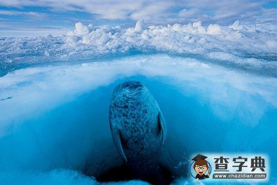 地球最難捕捉景象1