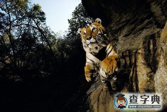 地球最難捕捉景象3