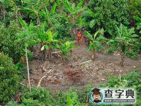 “世外桃源”原始部落居民真實生活4