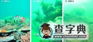 萬年自然奇跡或?qū)⒂谑旰笏劳?