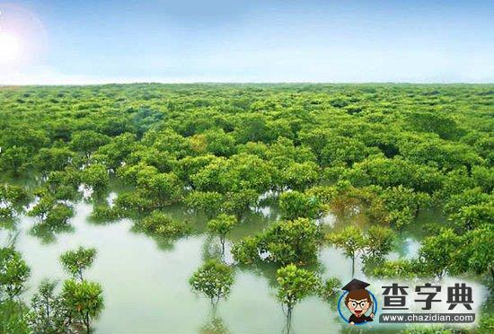 首張熒光地圖 揭陸地植物生長狀況1