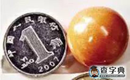 福建漁民撈海螺發(fā)現(xiàn)稀有珍珠7