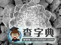 研究發(fā)現(xiàn)植物采用“節(jié)能”方式適應(yīng)溫度變化1